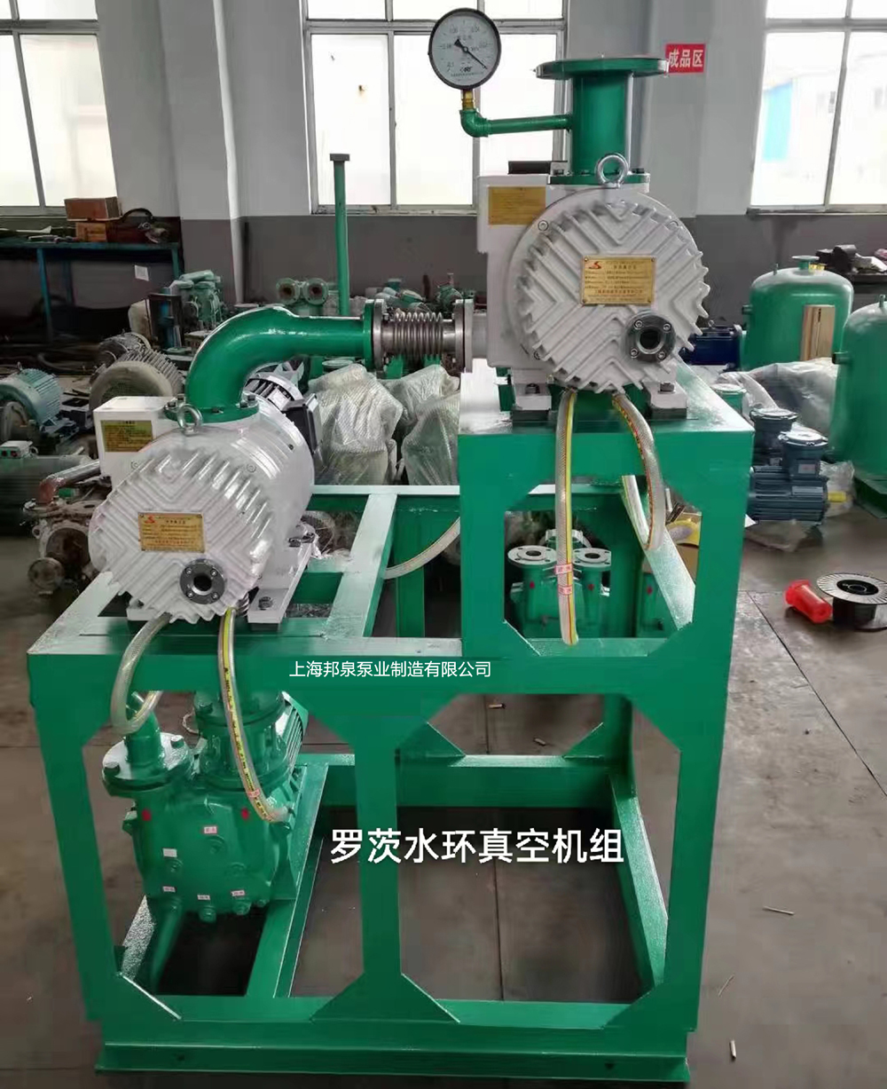 羅茨水環(huán)真空機組Roots pump systems with water ring